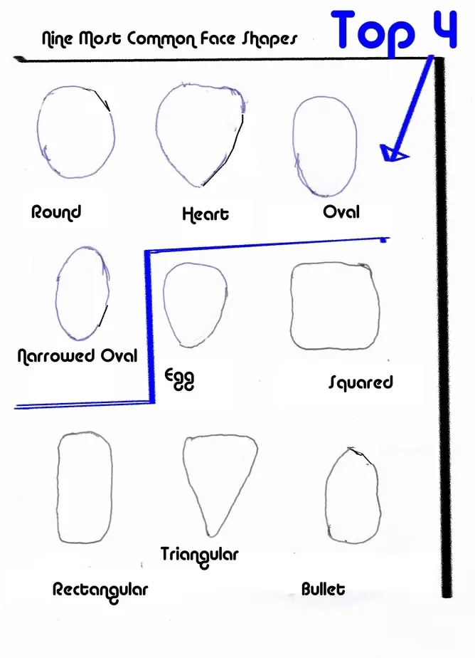 The nine most common face shapes