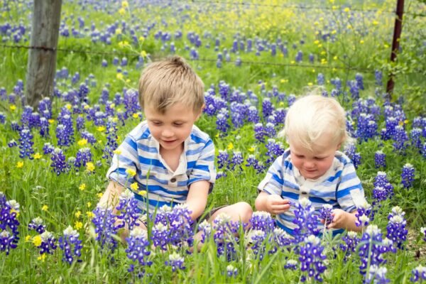 best places to see bluebonnets in Texas blue bonnets
